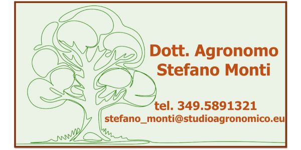 Stefano Monti